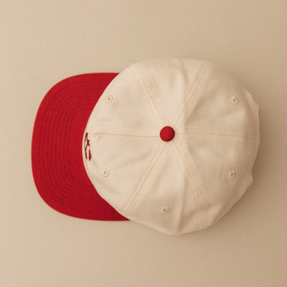 VA Mucker Two Tone Cap
